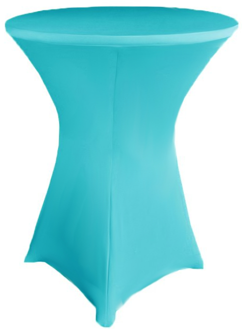 Rental store for Turquoise Spandex in Tampa FL