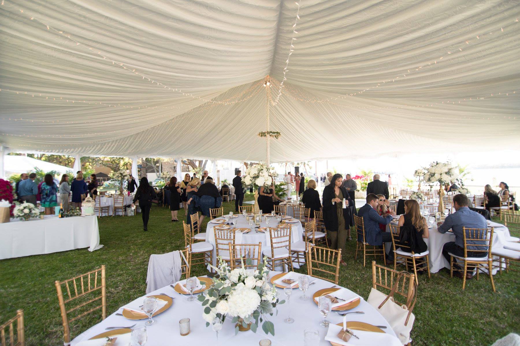 Rental store for Tent Liner in Tampa FL